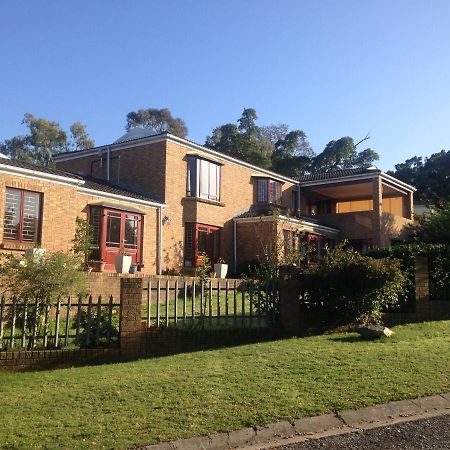 Bed and Breakfast Blue Fern Of Knysna Esterno foto
