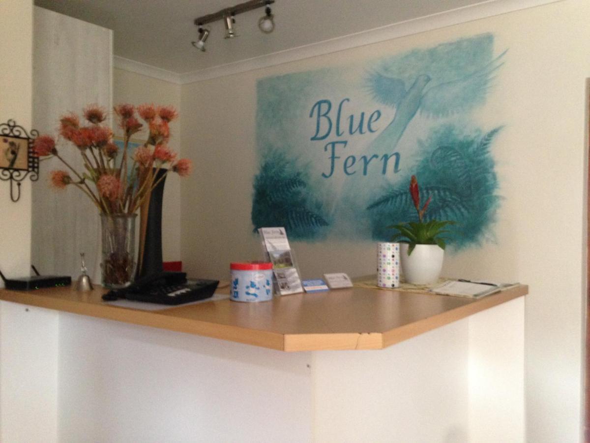 Bed and Breakfast Blue Fern Of Knysna Esterno foto