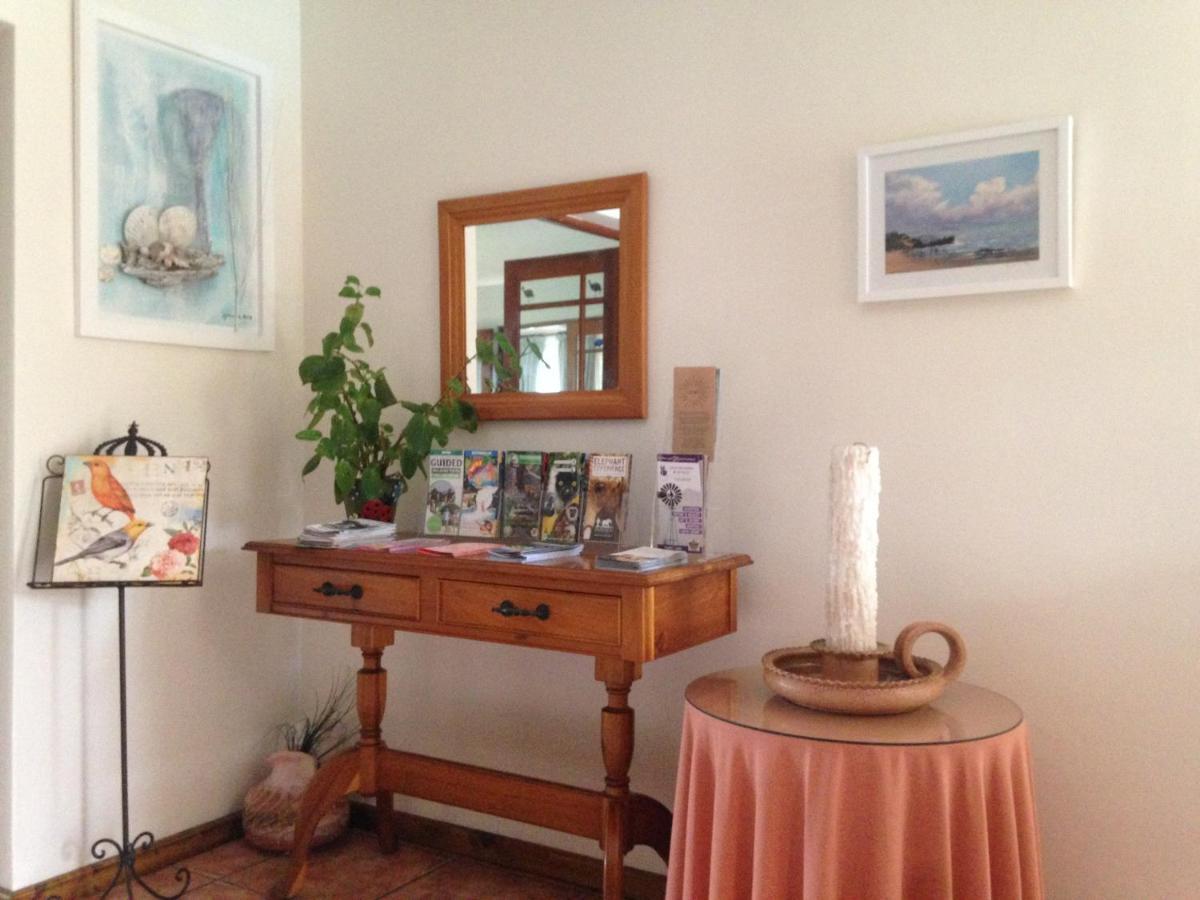 Bed and Breakfast Blue Fern Of Knysna Esterno foto