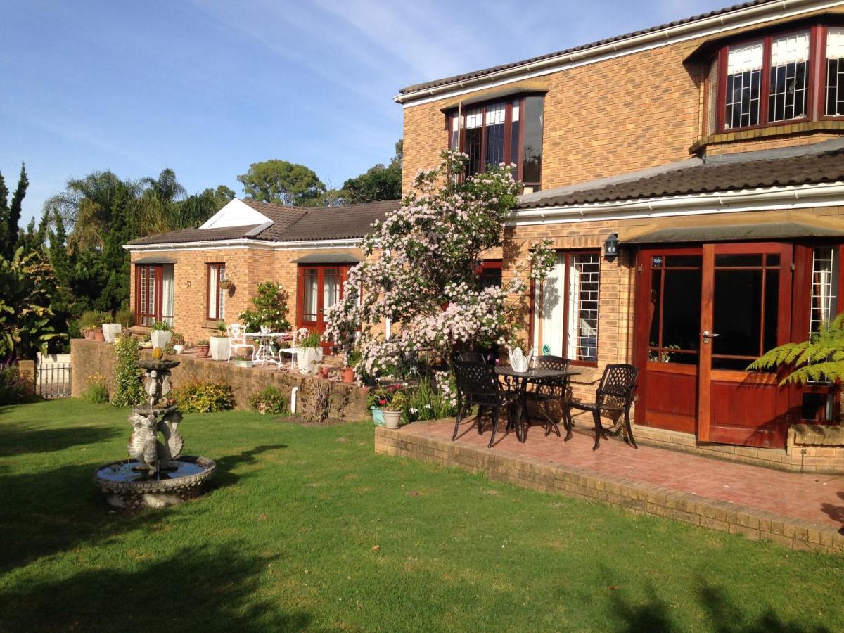 Bed and Breakfast Blue Fern Of Knysna Esterno foto
