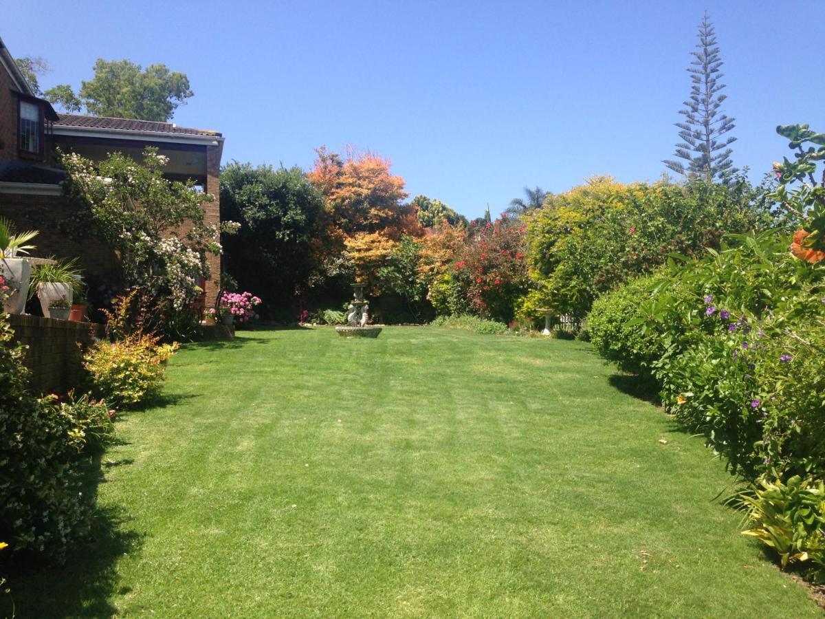 Bed and Breakfast Blue Fern Of Knysna Esterno foto