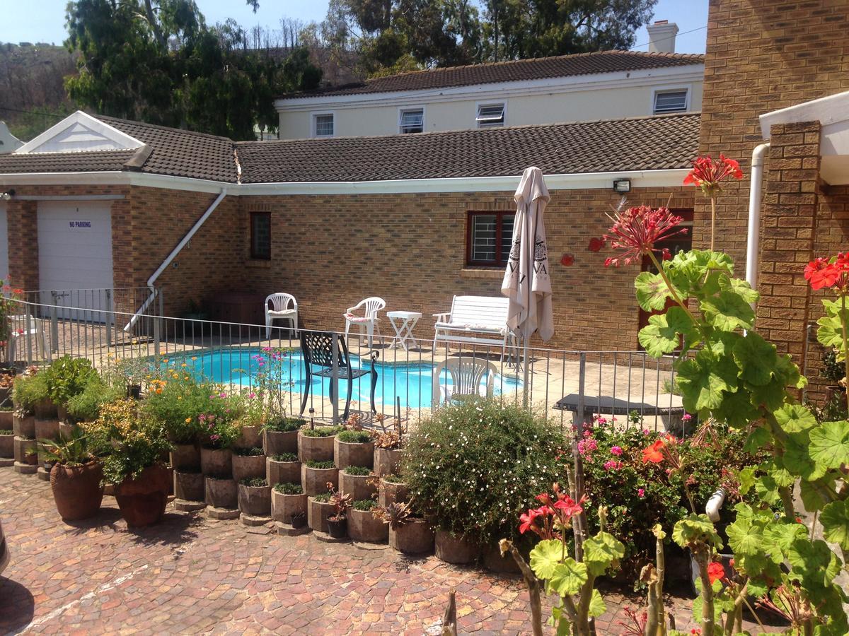 Bed and Breakfast Blue Fern Of Knysna Esterno foto