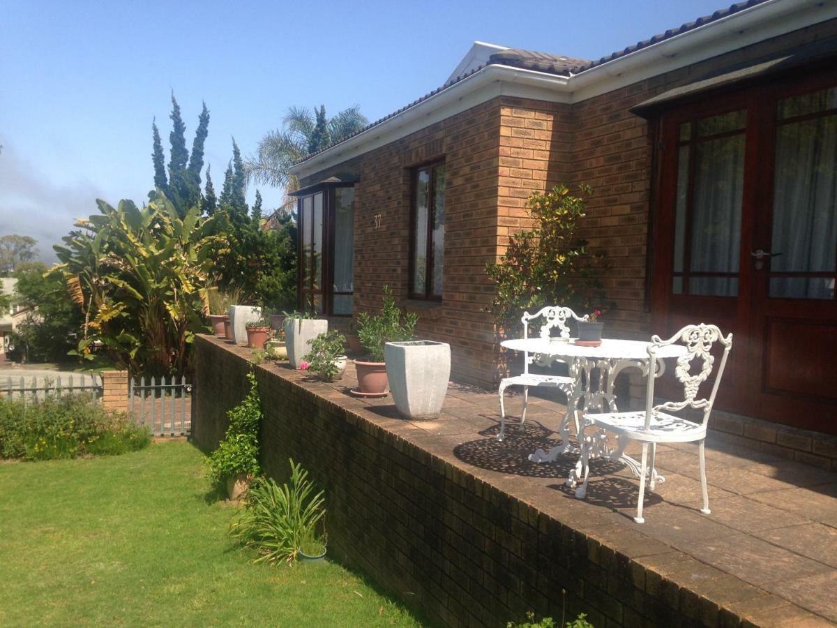 Bed and Breakfast Blue Fern Of Knysna Esterno foto