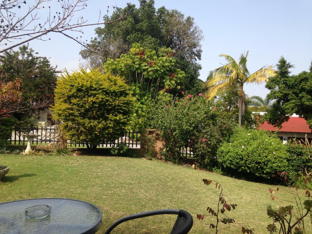 Bed and Breakfast Blue Fern Of Knysna Esterno foto
