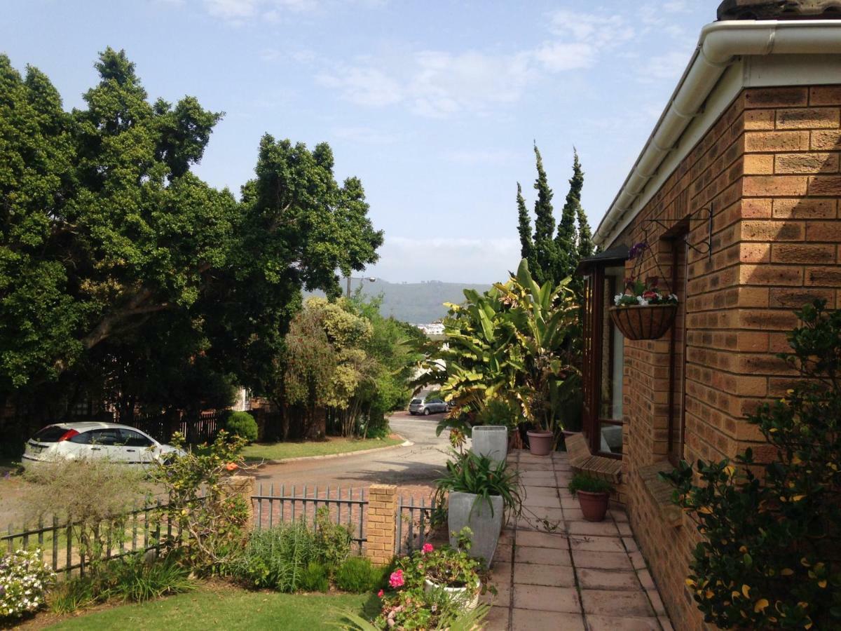 Bed and Breakfast Blue Fern Of Knysna Esterno foto